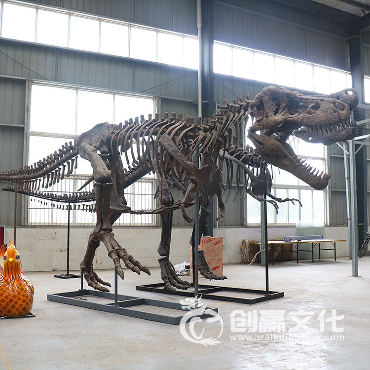 T-rex Fossils Replica